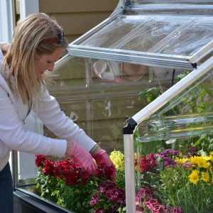 Maze Plant Inn Raised Garden Bed Planter with Mini Greenhouse