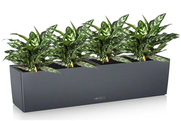 Lechuza BALCONERA Color 80 Self-Watering Plastic Planter Box