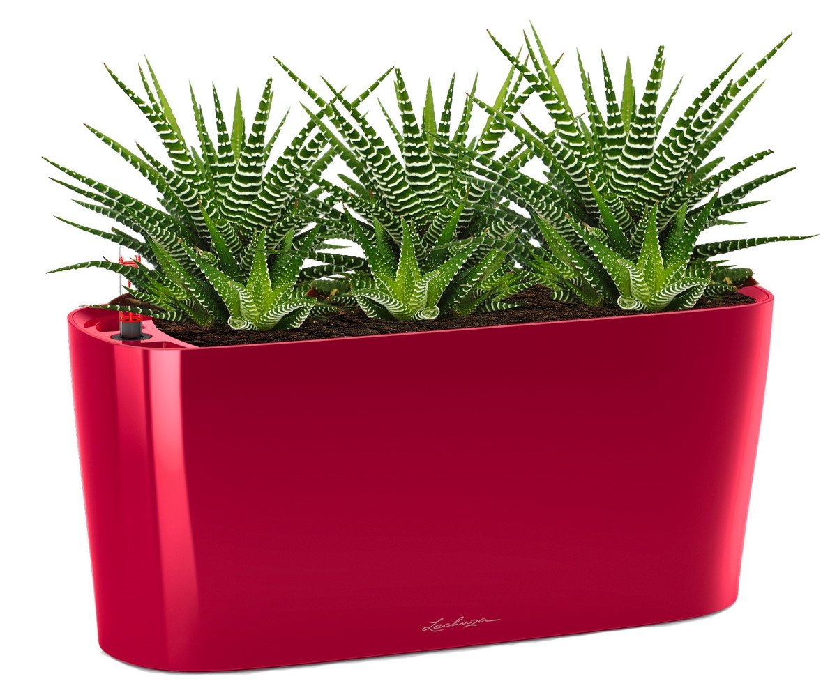 Lechuza DELTA 20 Self-Watering Planter Box