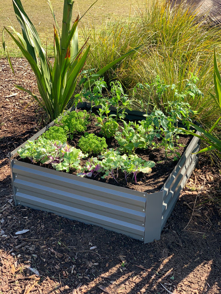 Greenlife Square Raised Garden Bed 1000 x 1000 x 300mm - Slate Grey