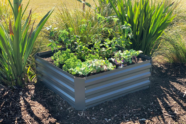 Greenlife Square Raised Garden Bed 1000 x 1000 x 300mm - Slate Grey