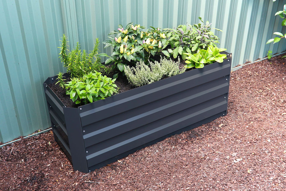 Greenlife Slimline Garden Bed Charcoal + Drop Over PE Greenhouse 1250 x 500 x 990