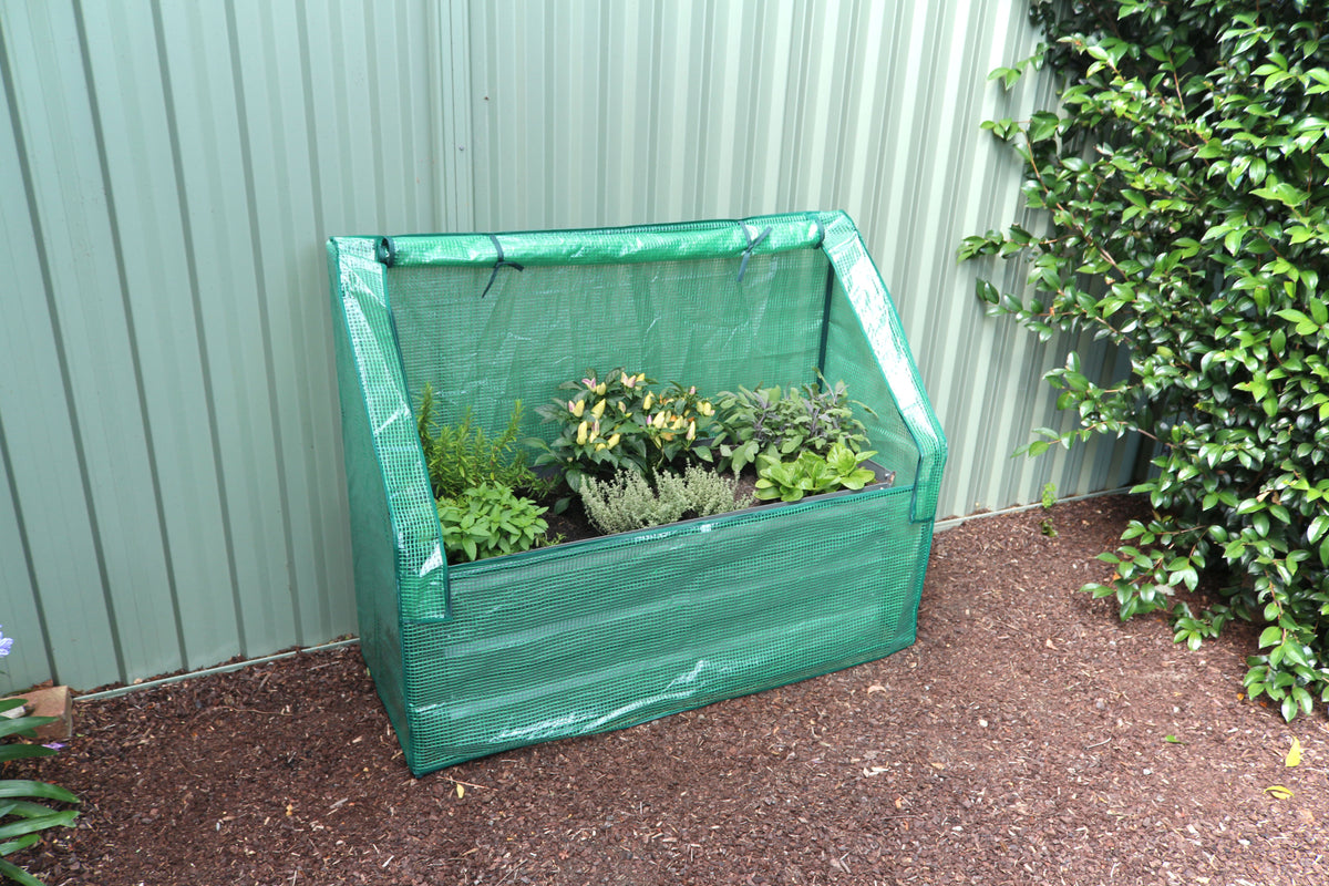 Greenlife Slimline Garden Bed Eucalypt Green + Drop Over PE Greenhouse 1250 x 500 x 990