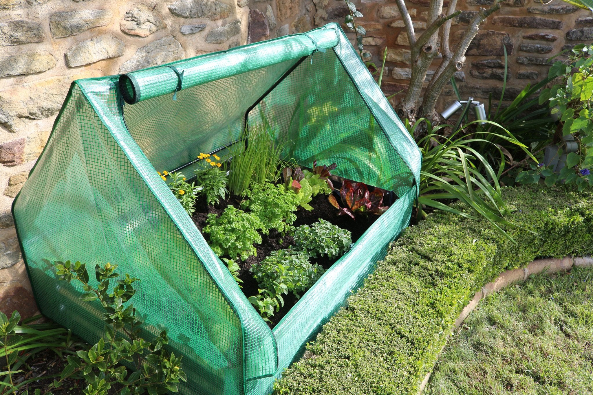 green house cover for plants Greenlife Drop Over Greenhouse with PE Cover 1250 x 950 x 920mm