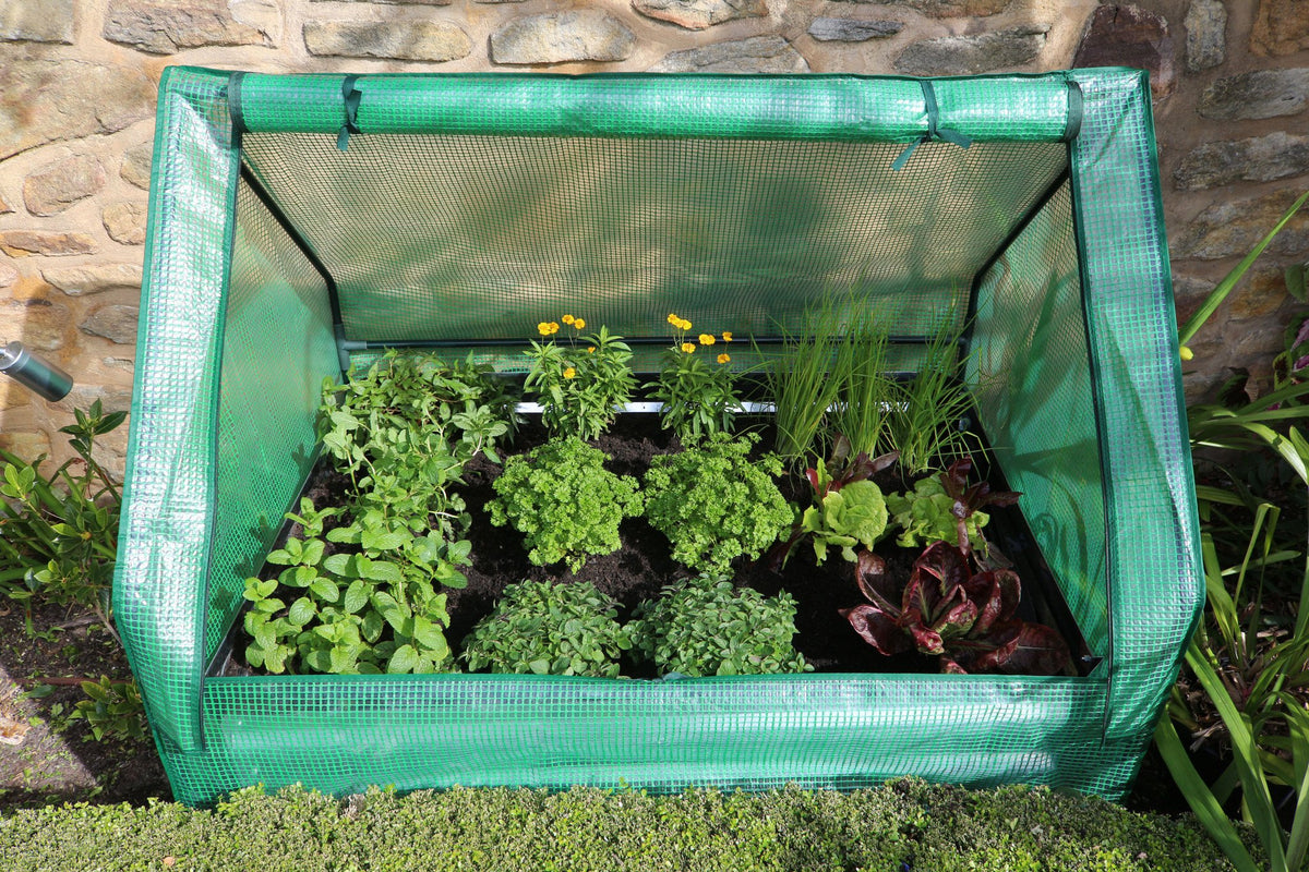 Greenlife Drop Over Greenhouse with PE Cover 1250 x 950 x 920mm
