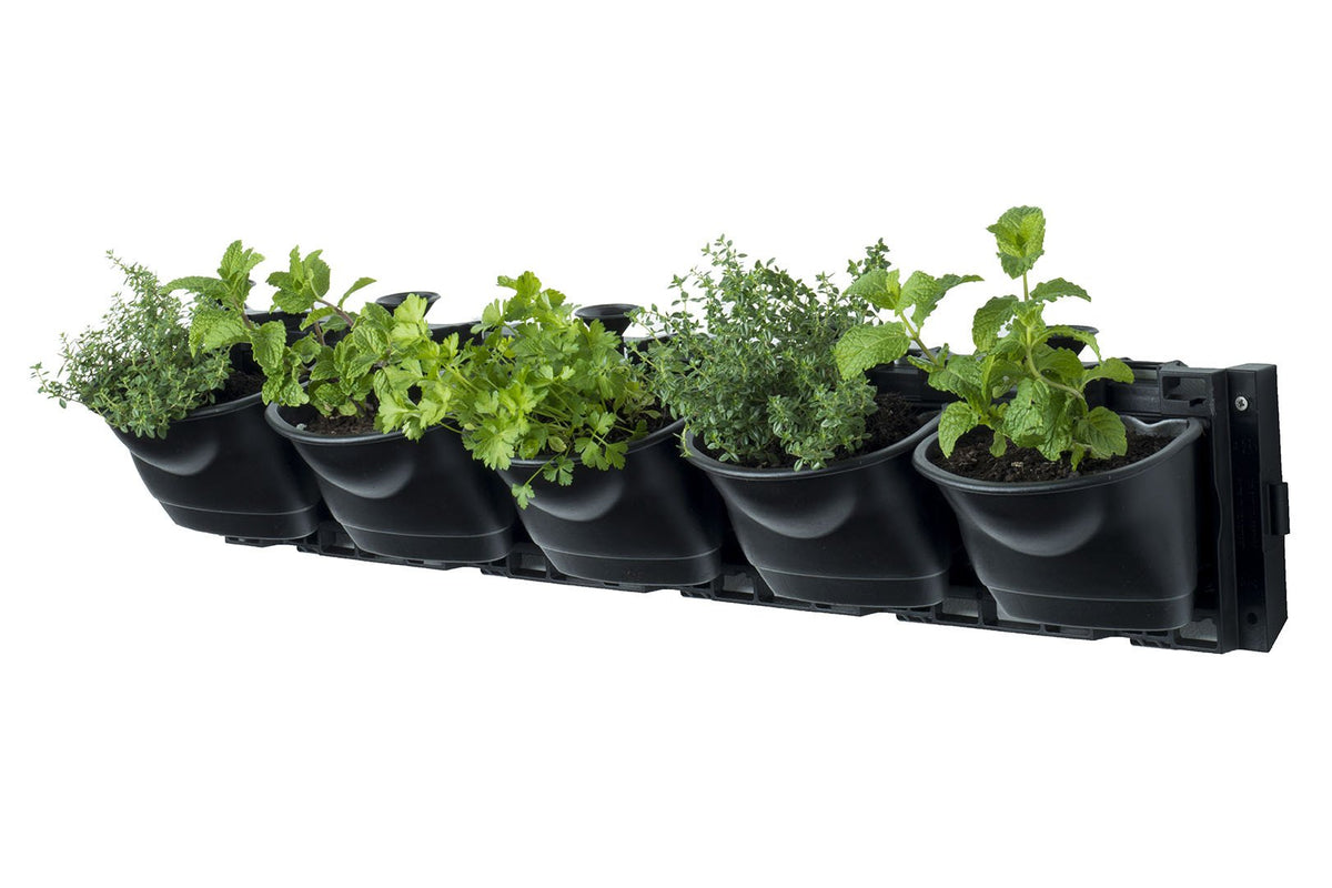 Maze Vertical Garden Wall Growing Kit - Black (5 Pots)