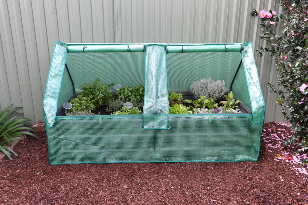 Greenlife Large Drop Over Greenhouse with PE Cover 1850 x 950 x 1020mm