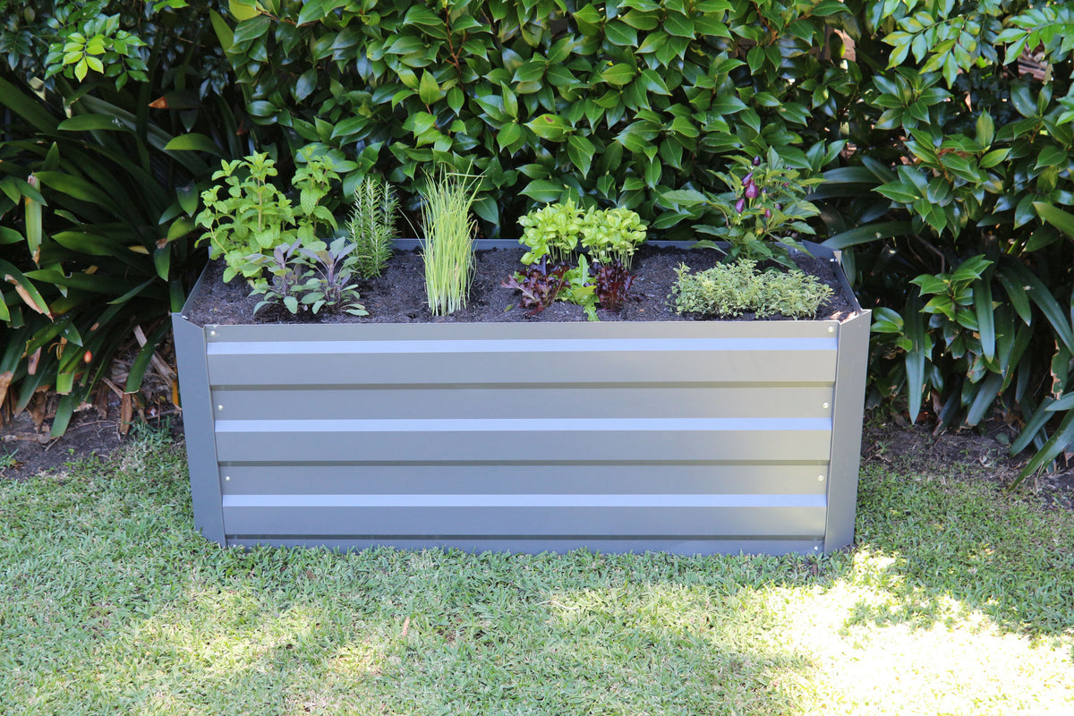 Greenlife Slimline Garden Bed Slate Grey + Drop Over PE Greenhouse 1250 x 500 x 990