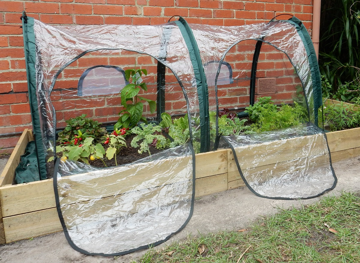 Maze Poly Greenhouse Tunnel - 2000L x 1000W x 1000H
