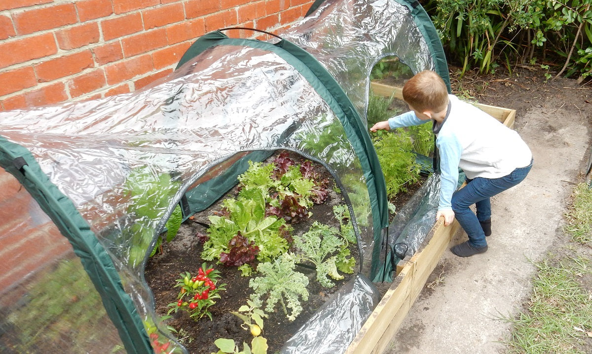 Maze Poly Greenhouse Tunnel - 2000L x 1000W x 1000H