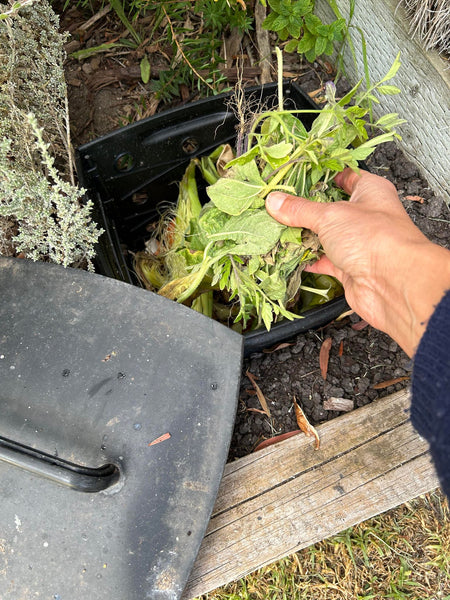 Greenlife Worm Box In-Ground Micro Composter & Worm Farm for Gardens