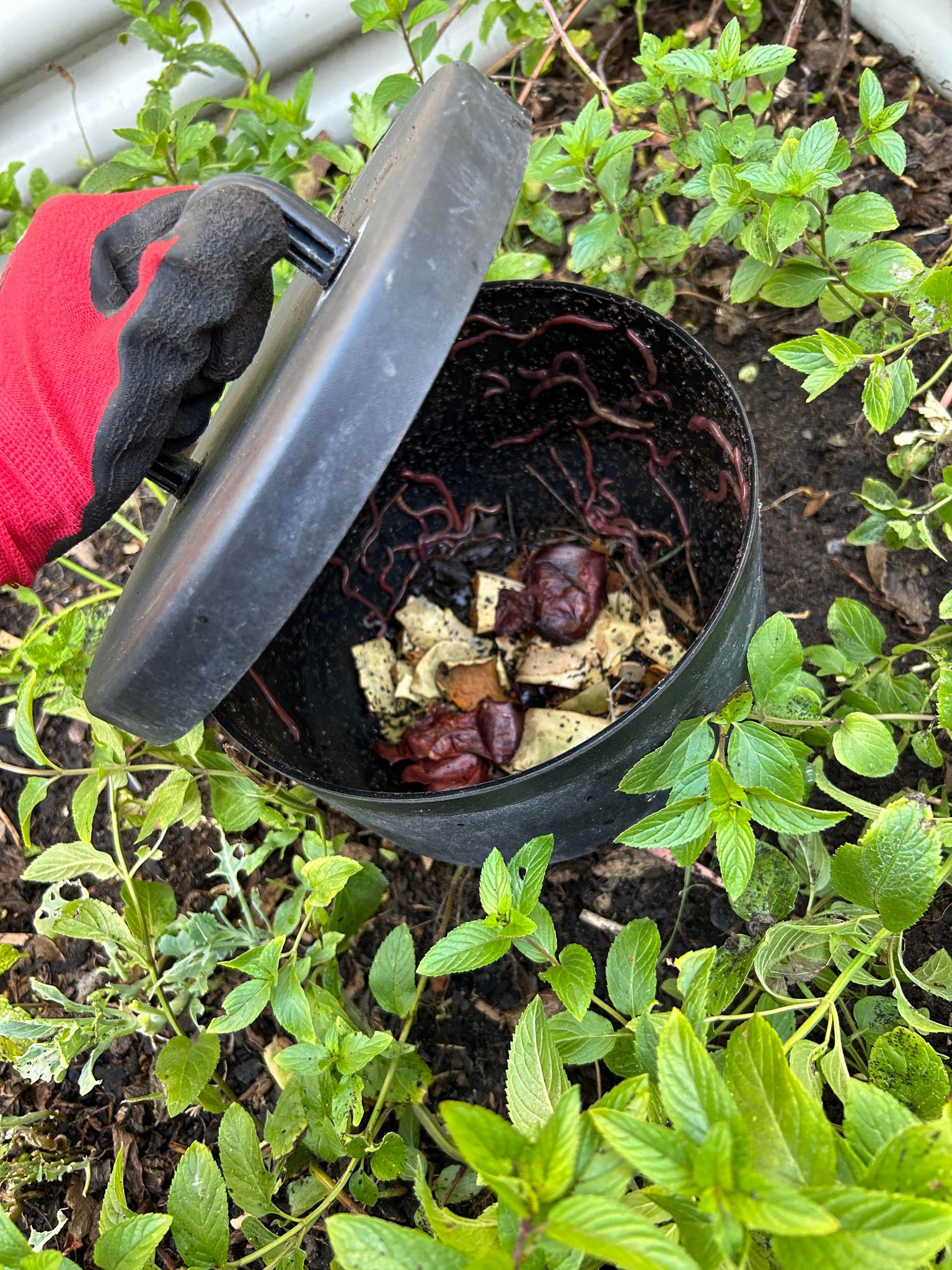 Greenlife Premium Worm Farm In-Ground Micro Compost Tower for Gardens