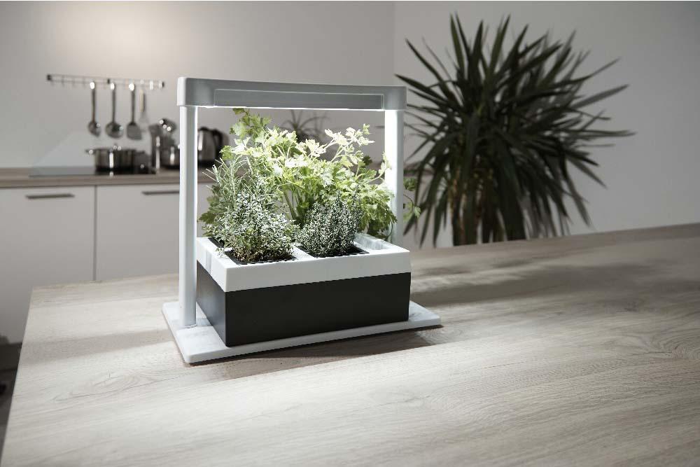 indoor herb planter with light Greenlife LED Grow Light Herb Lamp Kit with 4 Pot Growing Planter
