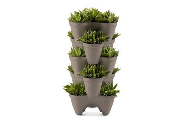 Keter Ivy Planter - 3 Pack