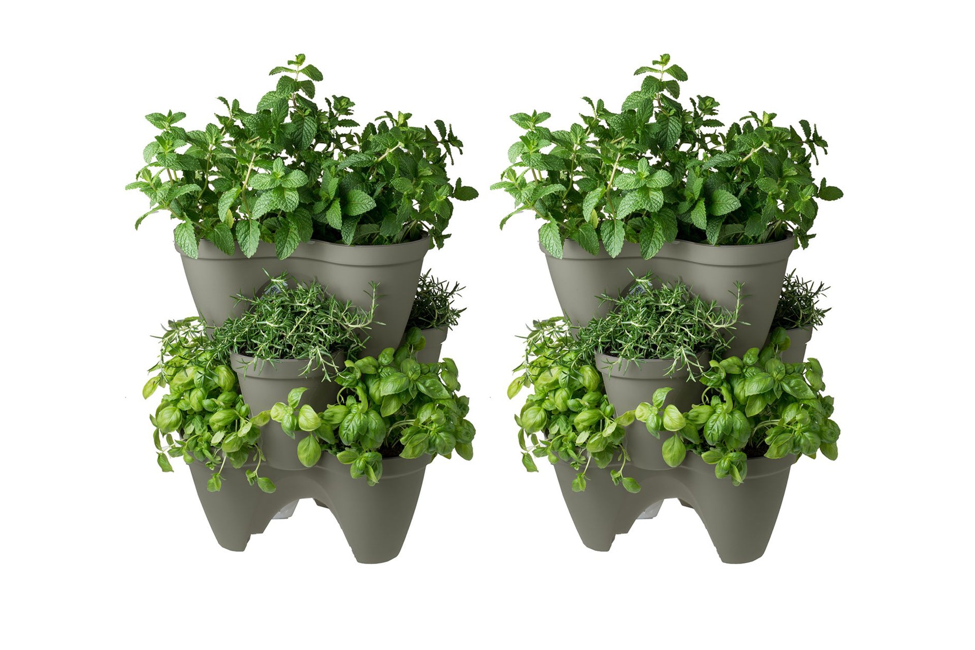 keter hanging planter Keter Ivy Planter - 6 Pack
