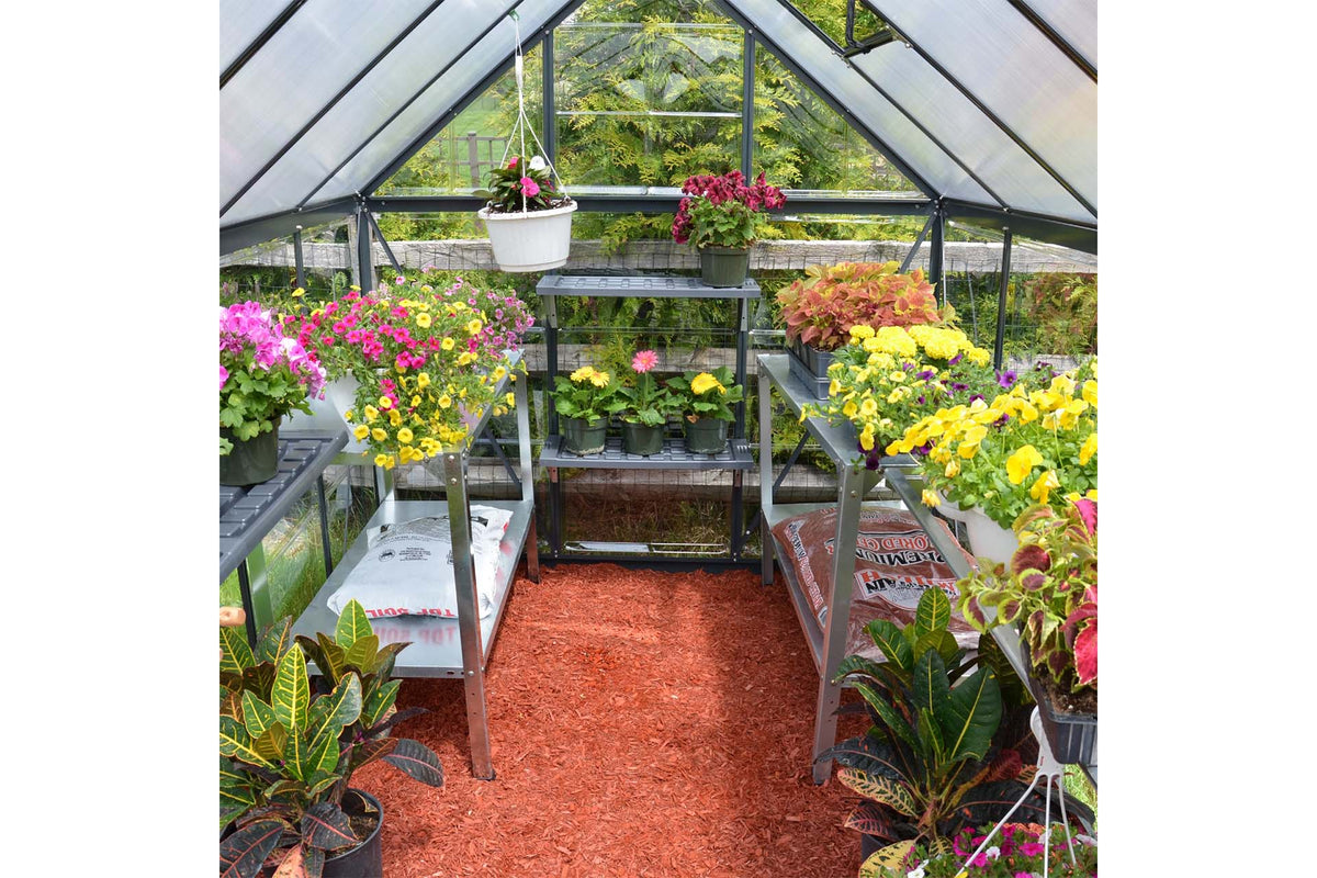 Maze Hybrid Polycarbonate Greenhouse 6' x 8' Grey (1.9m x 2.5m)