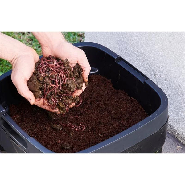 Maze Compact Worm Farm Australian Made with Plastic Legs and 1000 Worms
