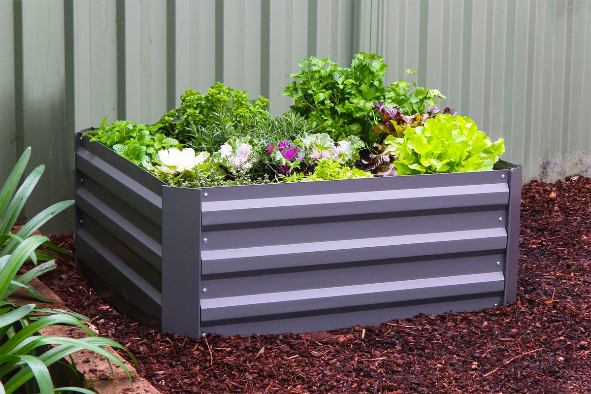 Greenlife Raised Metal Garden Bed + PE Drop Over Greenhouse + Gardening Gloves