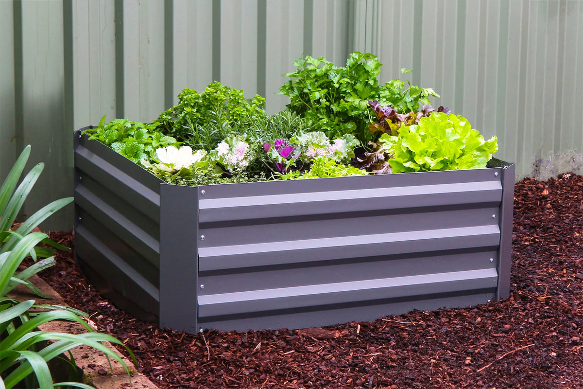 Greenlife Square Garden Bed Slate Grey + PE Greenhouse 900 x 900 x 1020