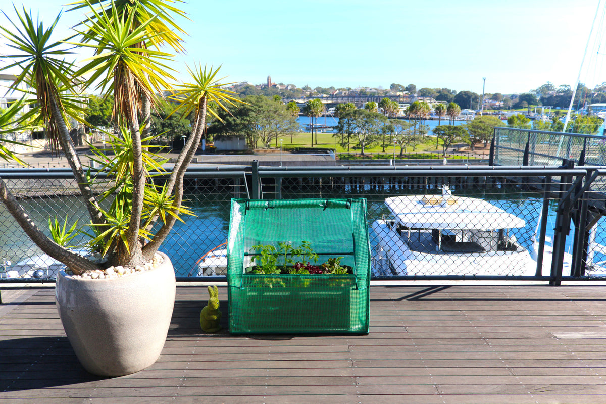 Greenlife Mini Patio Drop Over PE Greenhouse 880 x 580 x 820mm