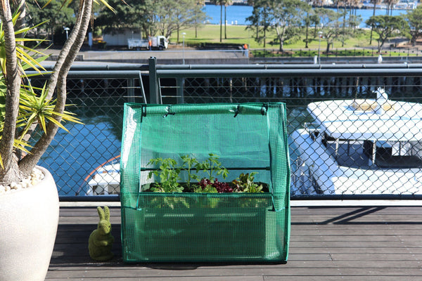 Greenlife Mini Drop Over Greenhouse with PE Cover - 880 x 580 x 820mm