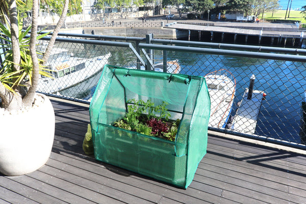 Greenlife Mini Drop Over Greenhouse with PE Cover - 880 x 580 x 820mm
