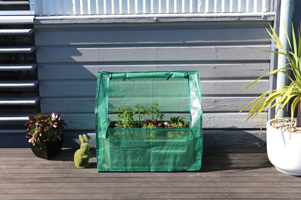 Greenlife Mini Drop Over Greenhouse with PE Cover - 880 x 580 x 820mm