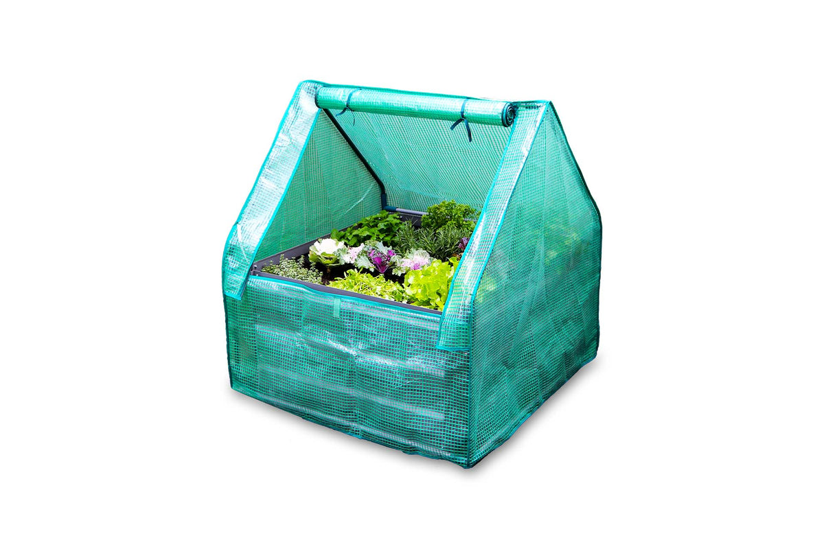 Greenlife Square Drop Over Greenhouse with PE Cover 900 x 900 x 1020mm