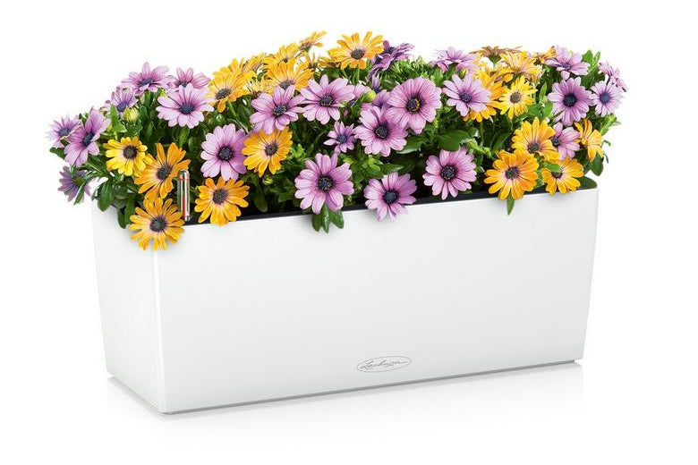 Lechuza BALCONERA Color 50 Self-Watering Plastic Planter Box