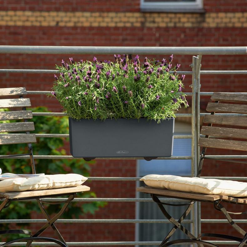 Lechuza BALCONERA Color 50 Self-Watering Plastic Planter Box