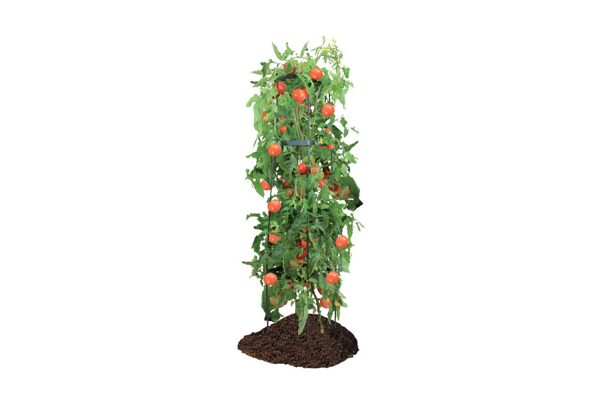 Greenlife Support Frame Tomato Growing Tower 4 Tier Cage - Green