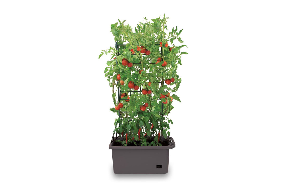 Greenlife Mobile Vege Patch with Self Watering Pot - Slate Grey