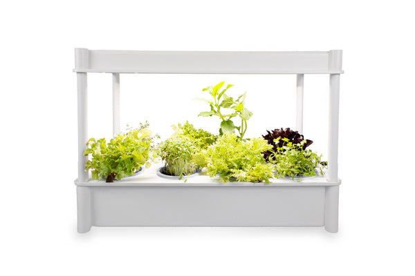 Greenlife Self-Watering Salad Planter Grower with LED Lights and 8 Pots - White