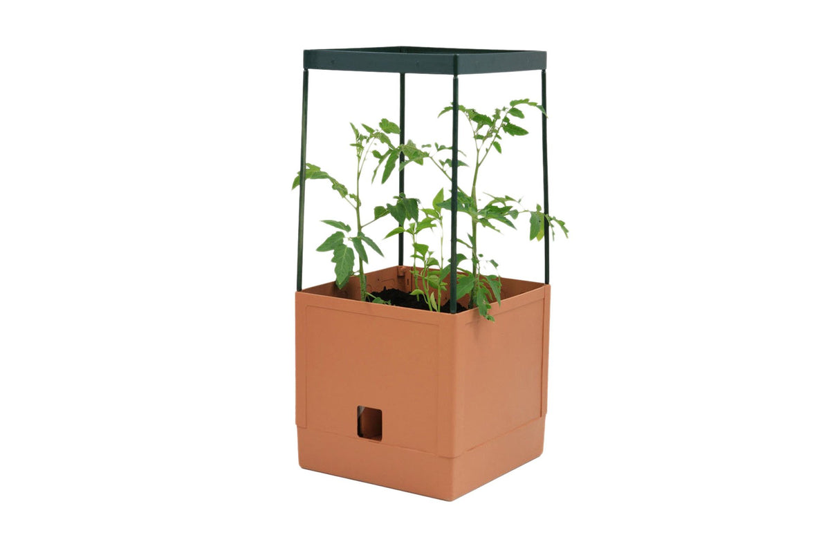 Greenlife Tomato Growing Tower 3 Tier with Self Watering Pot - Terracotta