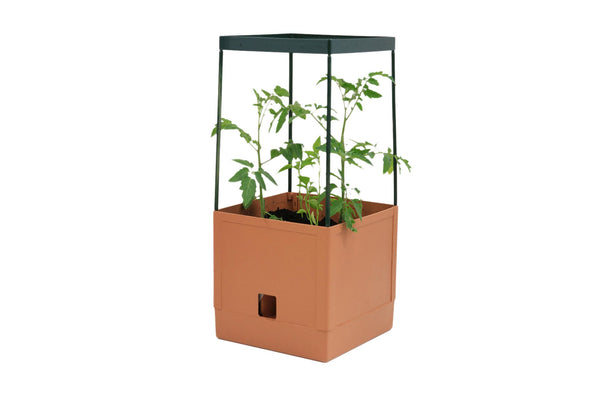 Greenlife Tomato Growing Tower 3 Tier with Self Watering Pot - Terracotta