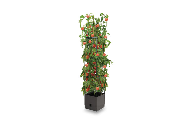 Greenlife Tomato Tower 3 Tier with Self Watering Pot - Slate Grey