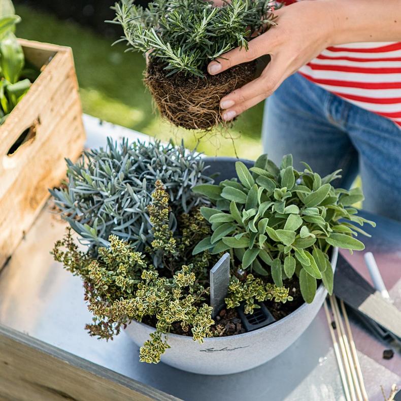 Lechuza Self-Watering Pot - CUBETO Stone 30 Bowl