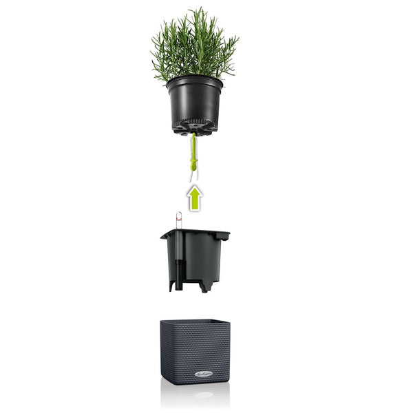 Lechuza Self-Watering Pot - PURO CUBE Color 14