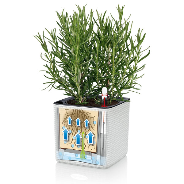 Lechuza Self-Watering Pot - PURO CUBE Color 14