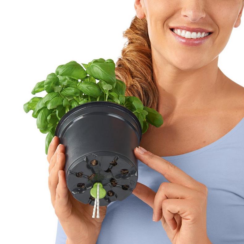 Lechuza Self-Watering Pot - PURO CUBE Color 16
