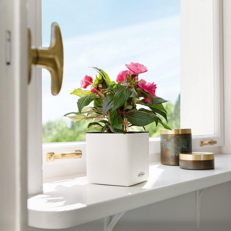 Lechuza Self-Watering Pot - PURO CUBE Color 16