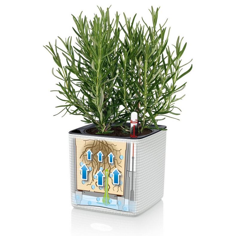 Lechuza Self-Watering Pot - PURO CUBE Color 16