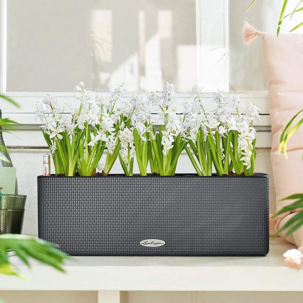 Lechuza Self-Watering Planter Box - PURO CUBE Color Triple