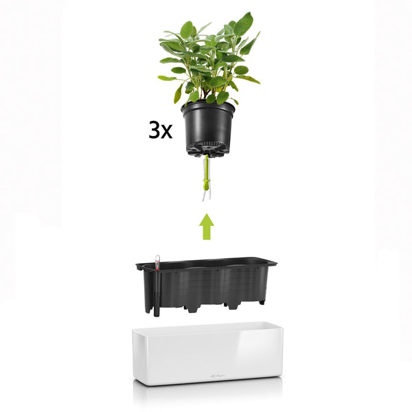Lechuza Self Watering Planter Box - Glossy CUBE Triple