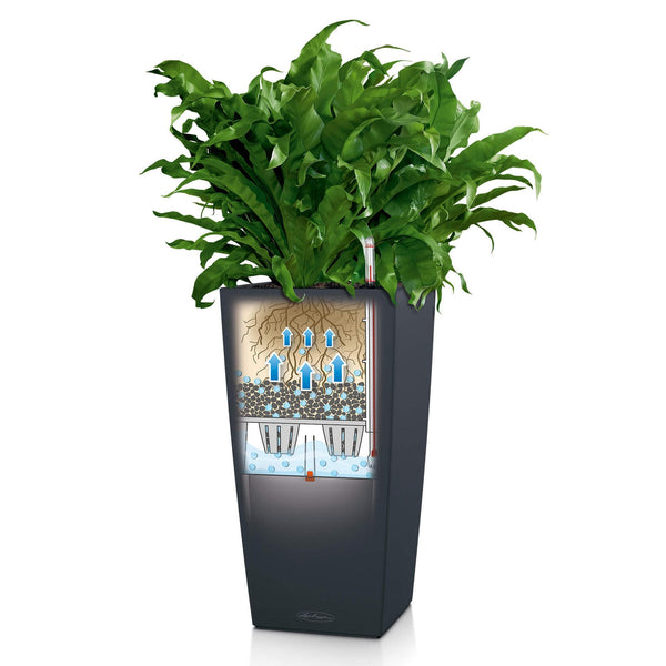 Lechuza Self-Watering Pot - CUBICO Color 22