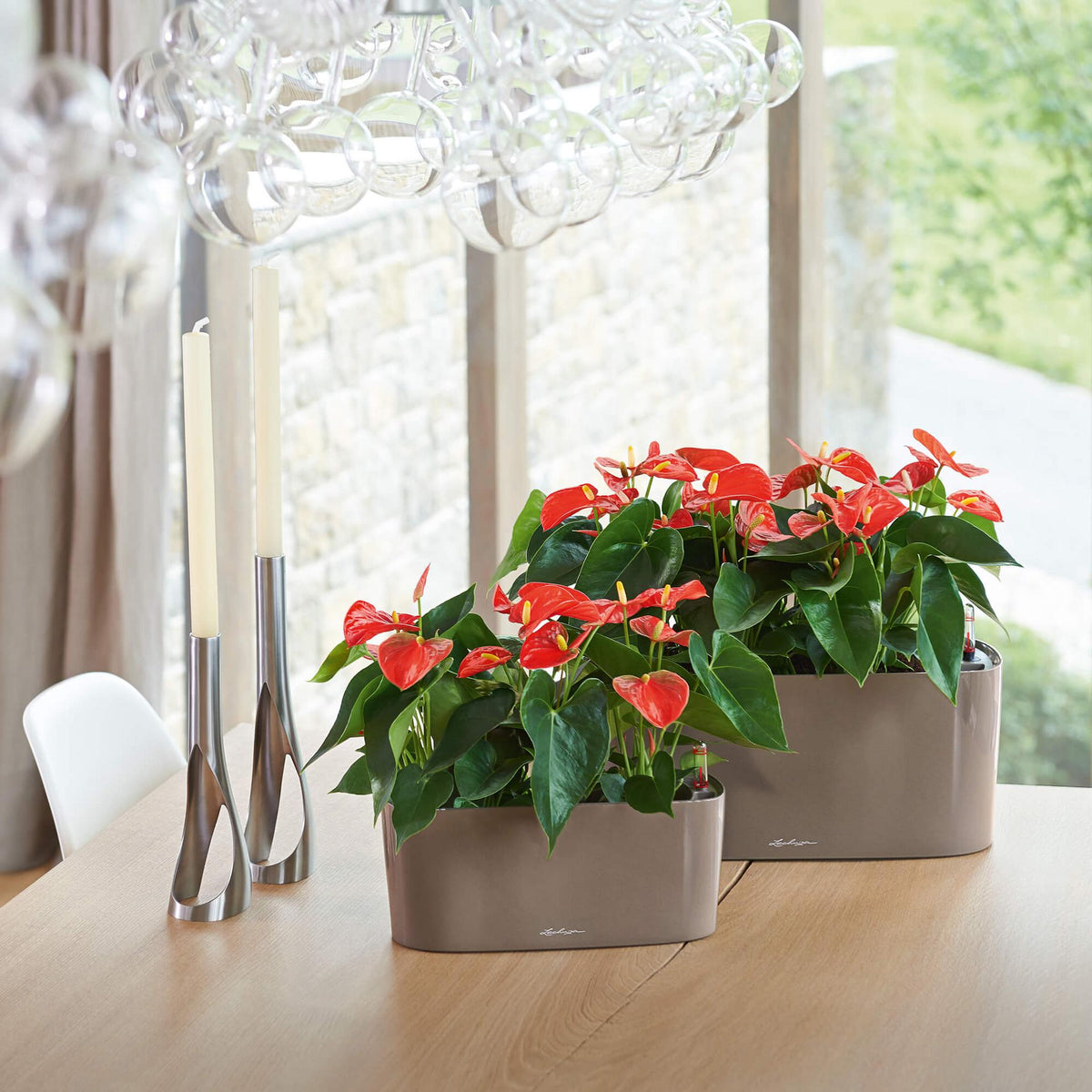 Lechuza DELTA 10 Self-Watering Planter Box