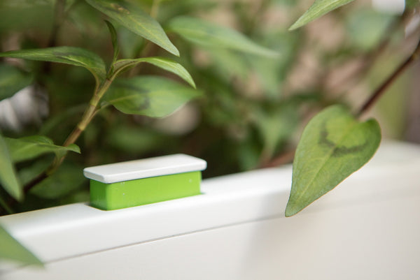 Glowpear Mini Bench Planter - Self Watering Raised Garden Planter Box