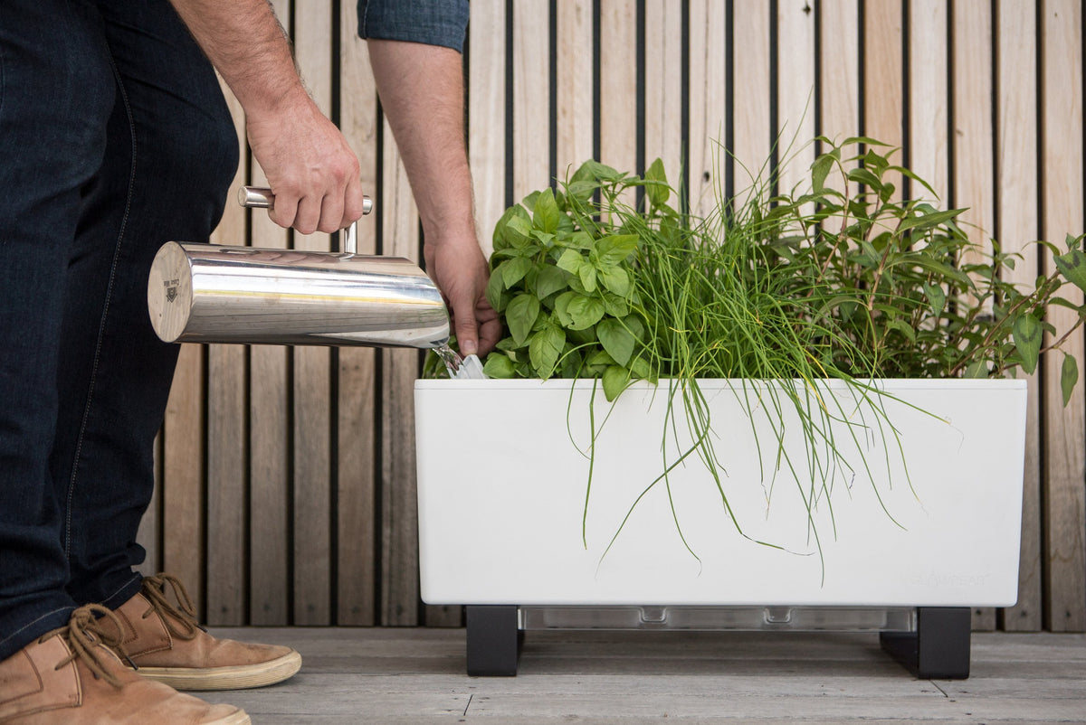 Glowpear Mini Bench Planter - Self Watering Raised Garden Planter Box