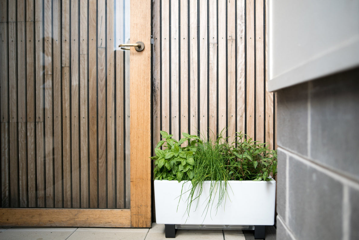 Glowpear Mini Bench Planter - Self Watering Raised Garden Planter Box