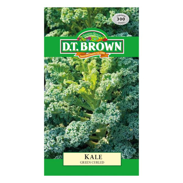 D.T. Brown Seeds - Kale Dwarf Green Curled - 300 Seed Pack